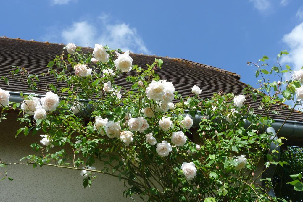 Maison D'Hotes Les Coquelicots Giverny Rom bilde