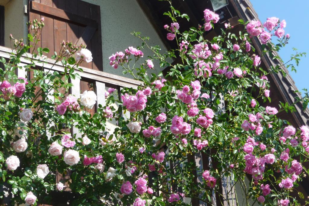 Maison D'Hotes Les Coquelicots Giverny Rom bilde