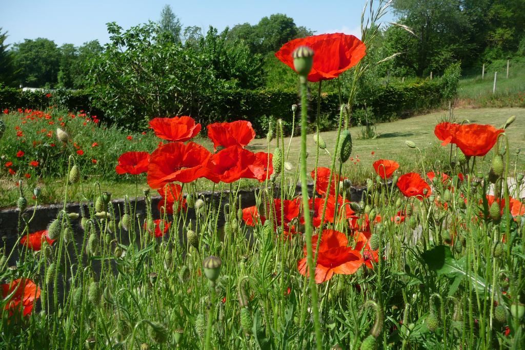 Maison D'Hotes Les Coquelicots Giverny Eksteriør bilde