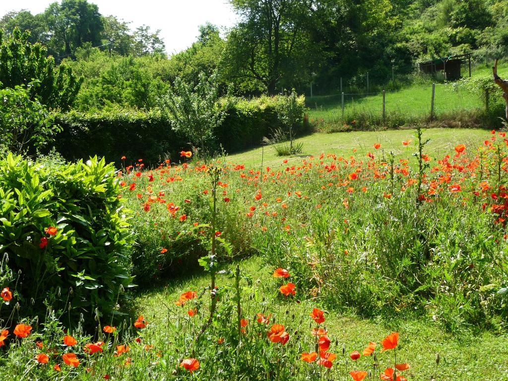 Maison D'Hotes Les Coquelicots Giverny Eksteriør bilde