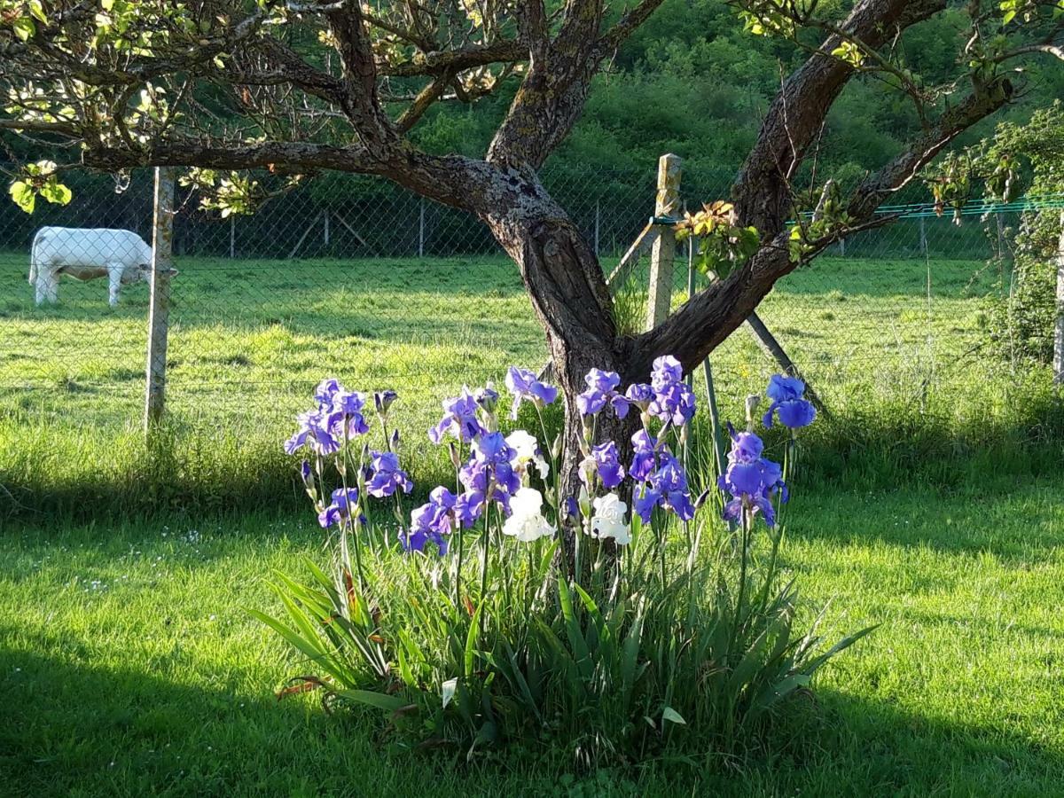 Maison D'Hotes Les Coquelicots Giverny Eksteriør bilde